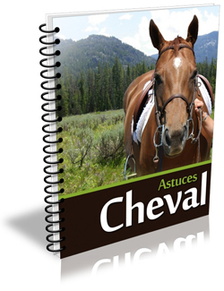 Cheval